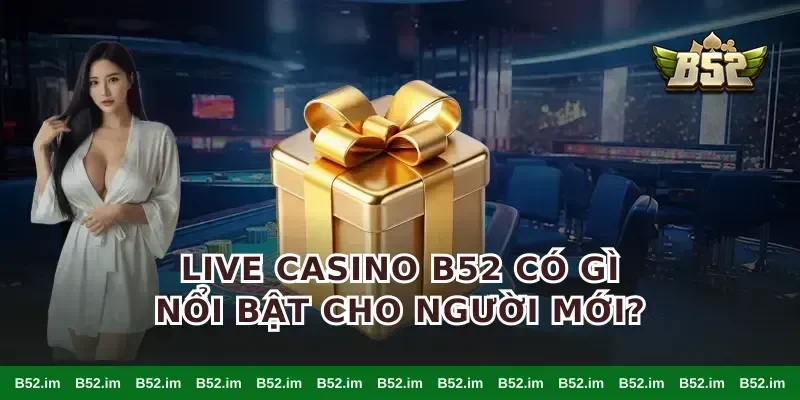 live casino B52 có gì nổi bật cho người mới?